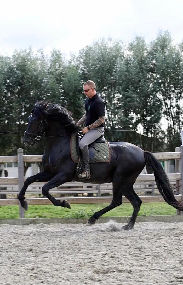 Knappe verschijning